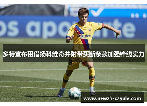 多特宣布租借扬科维奇并附带买断条款加强锋线实力