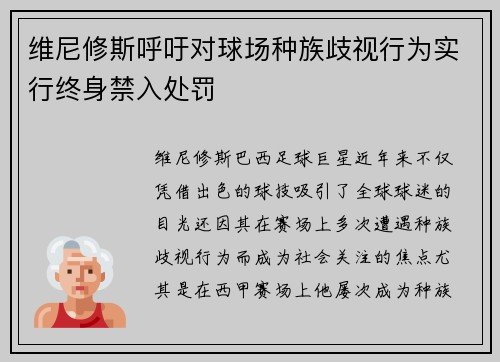 维尼修斯呼吁对球场种族歧视行为实行终身禁入处罚